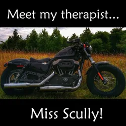Thad's 2014 Harley Davidson Forty-Eight, named Miss Scully, parked in a grassy field.