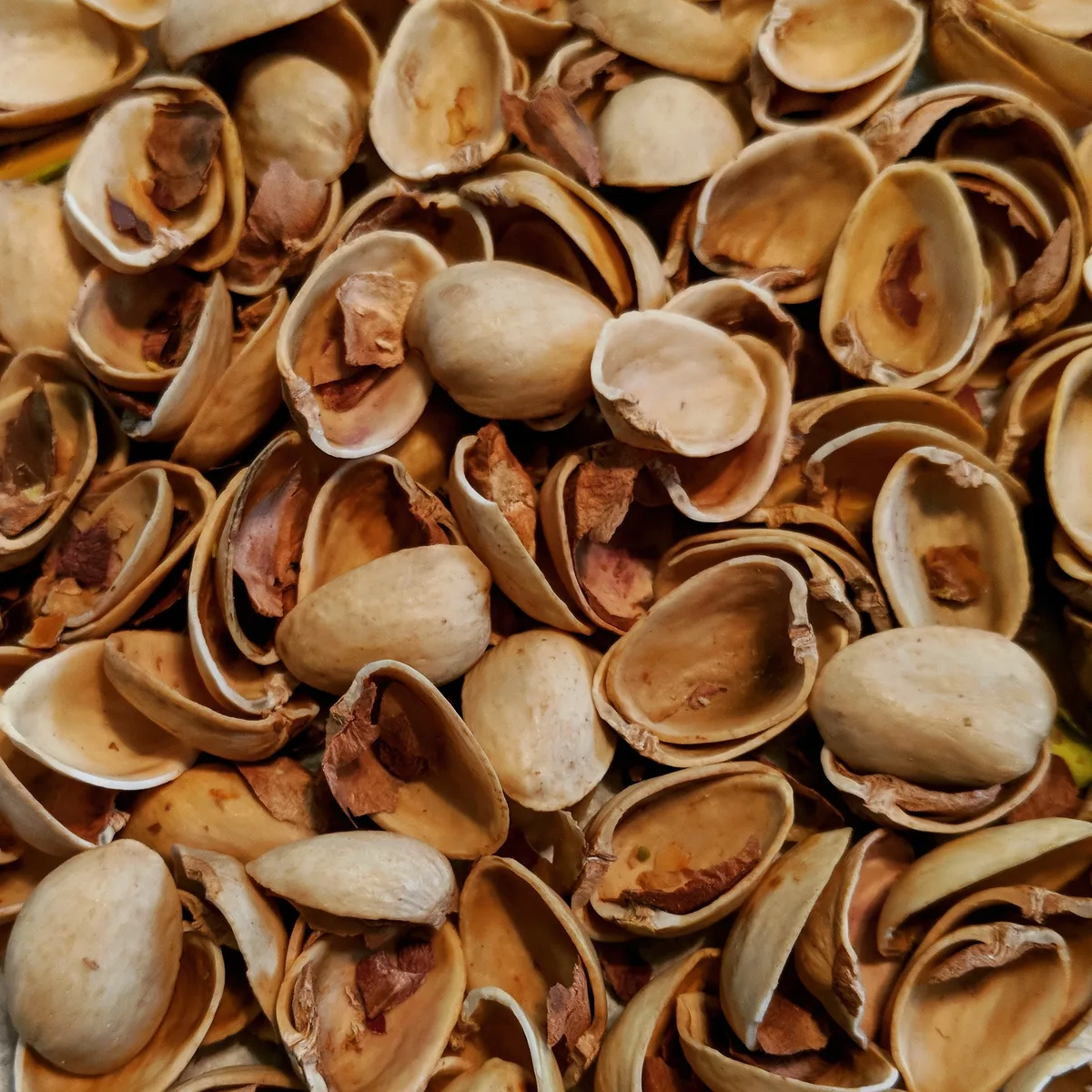 Close-up of a pile of empty pistachio shells