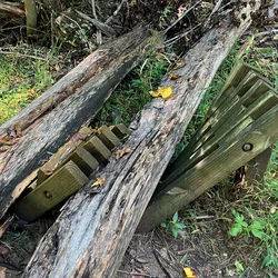 Fallen tree trunks lying broken across a wooden bench