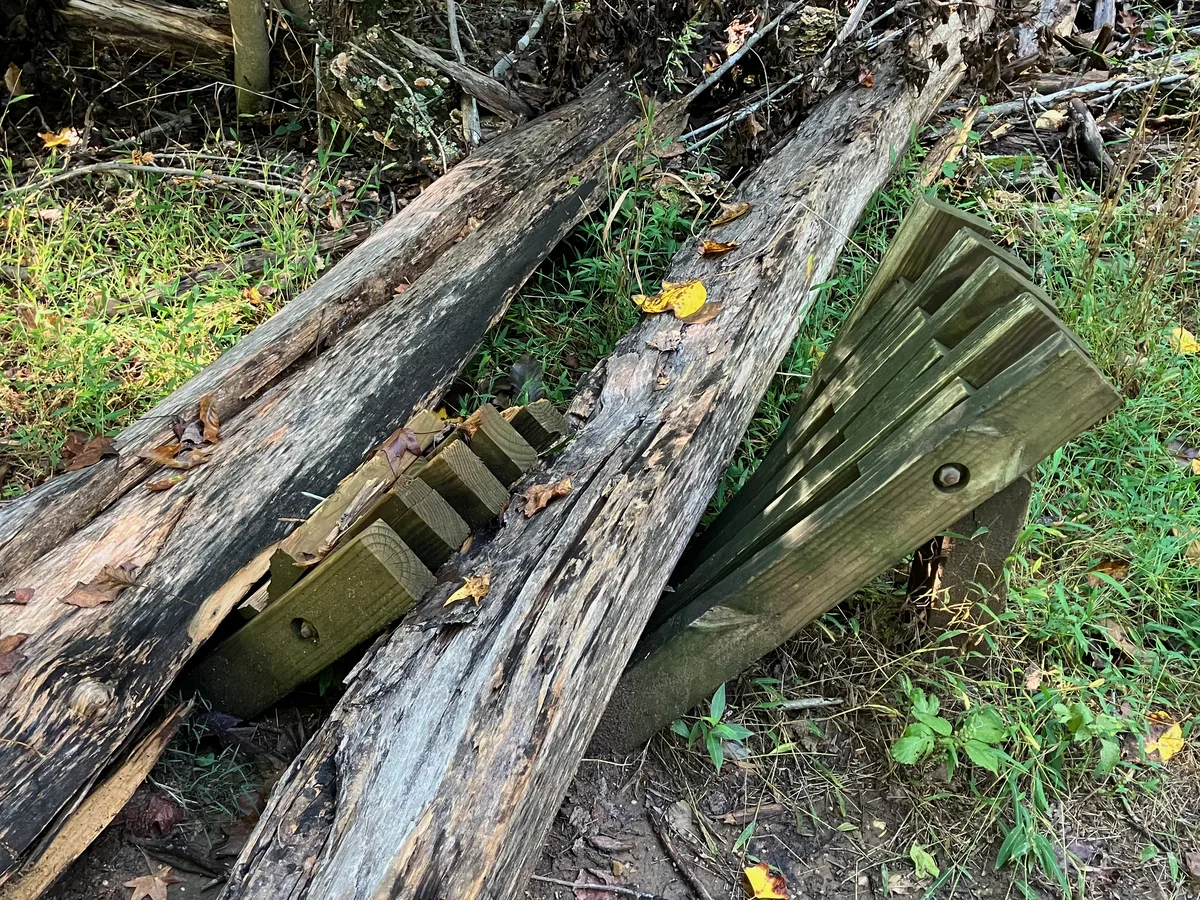 Fallen tree trunks lying broken across a wooden bench