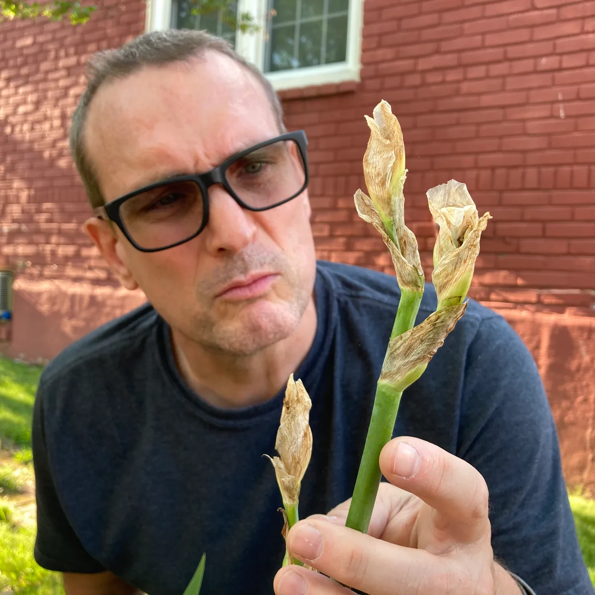 Thad kneeling outside, examining a stem with three spent, dried flowers against a red brick house.
