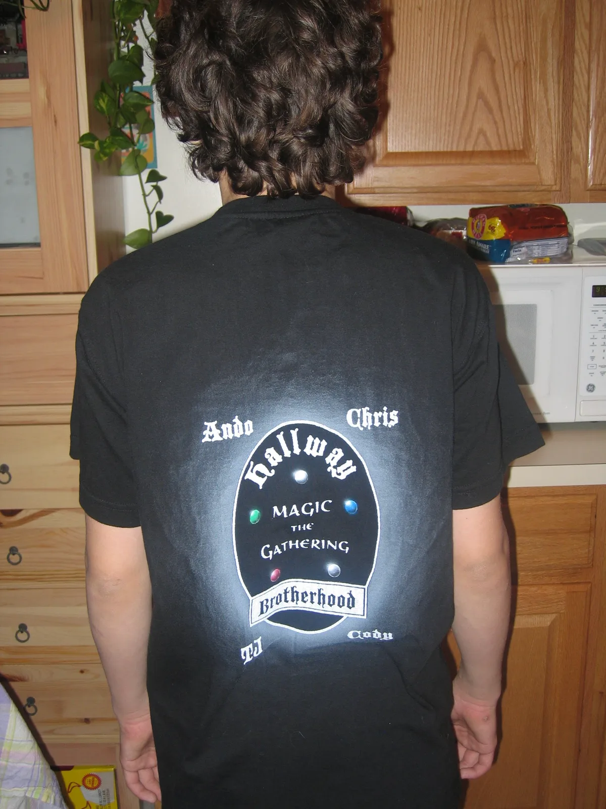 Back of Ando's Hallway Brotherhood shirt showing the full design